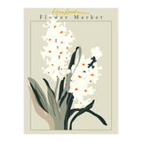 Flower Market Amsterdam Hyacinth (Print Only) thumbnail