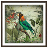 Tropical Bird Nostalgia