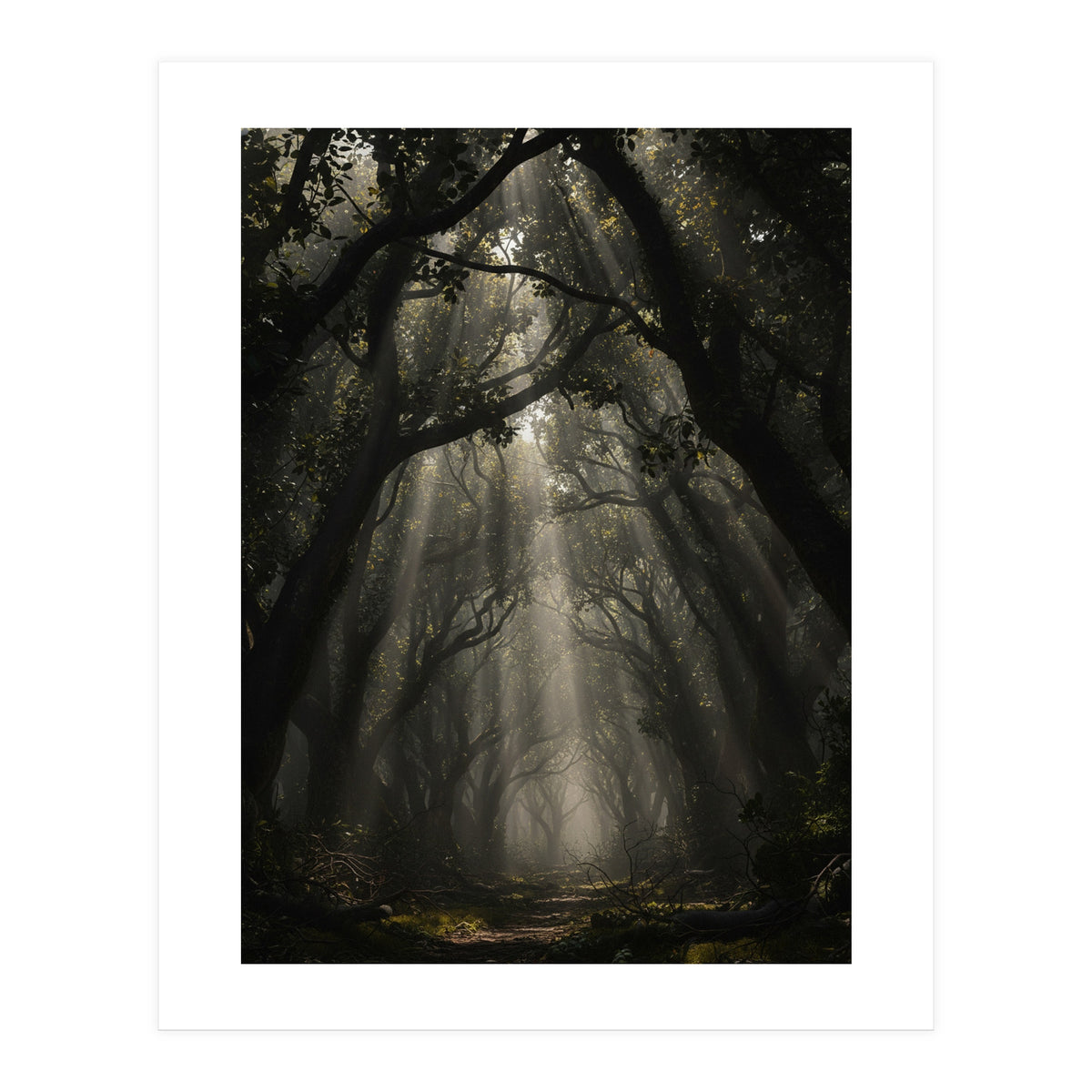 Enchanted Canopy: Mystical Forest Path (Print Only)