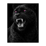 Black leopard with colorful eyes portrait (Print Only) thumbnail