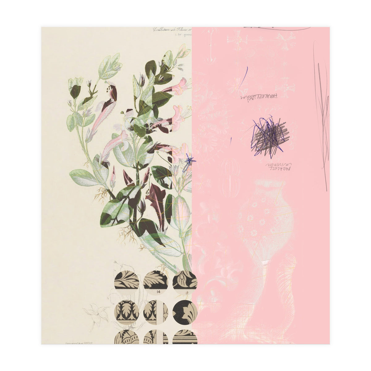 The First Plant · Mix It Up Sunday (Print Only)