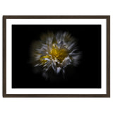 Backyard Flowers No 25 Color Flow Version thumbnail