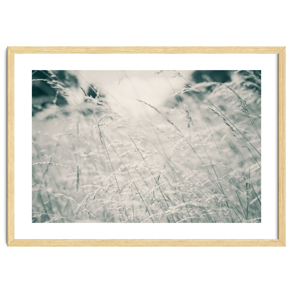 Walking Through Long Grass