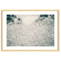 Walking Through Long Grass