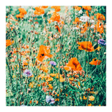Eva | Nature Floral Meadow Garden | Photography Botanical Spring Bohemian Flowers (Print Only) thumbnail