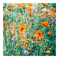 Eva | Nature Floral Meadow Garden | Photography Botanical Spring Bohemian Flowers (Print Only)