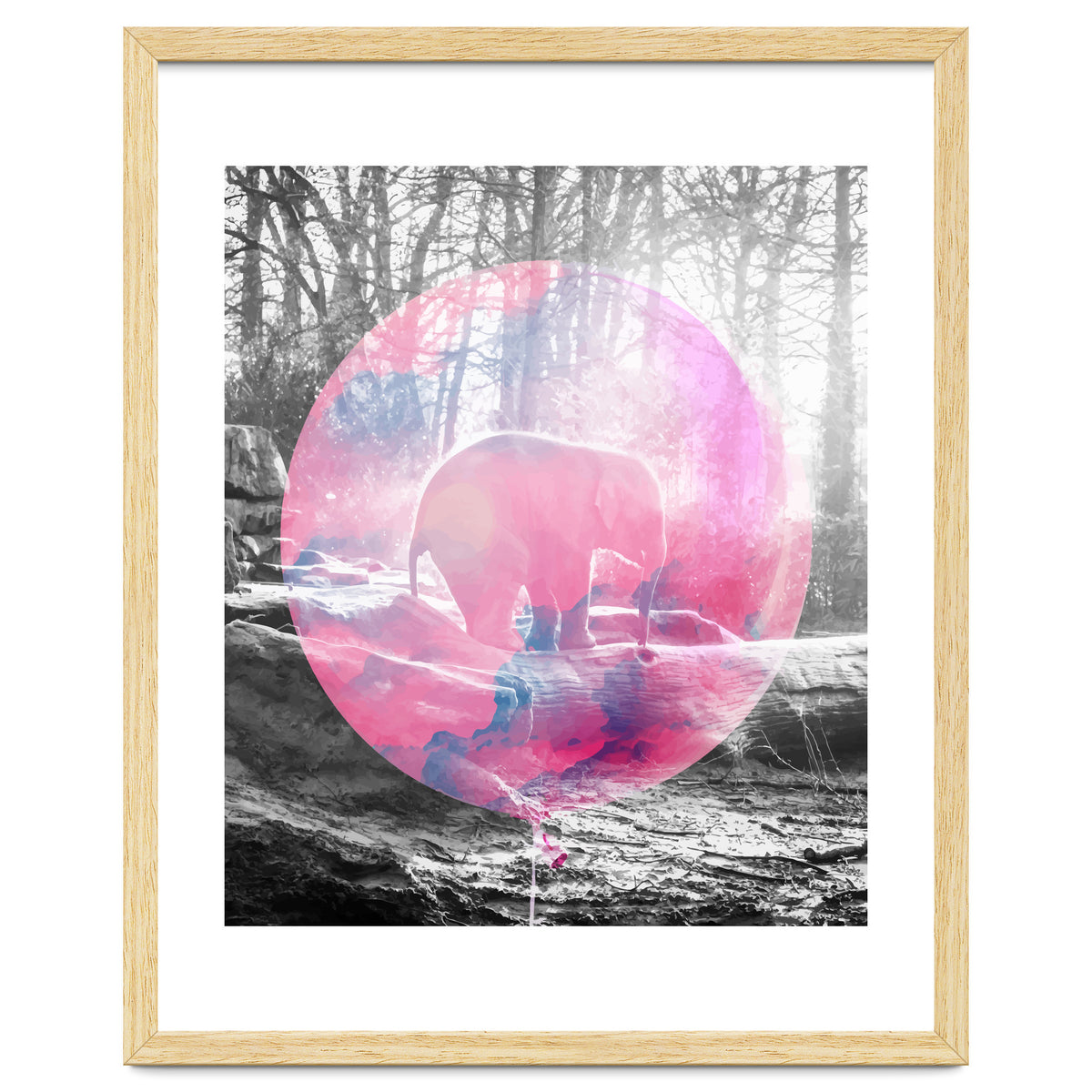 Baby Elephant In A Balloon