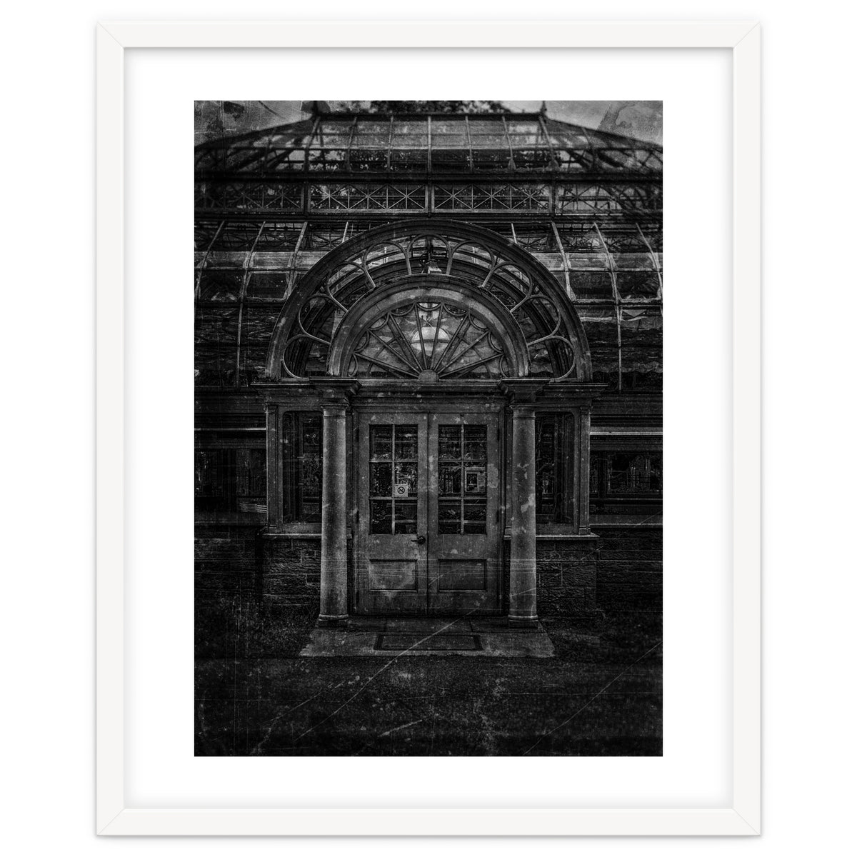 Allan Gardens Conservatory Palm House No 5 Old Film Version