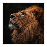 Majestic Lion Portrait Profile Majestic Beast (Print Only) thumbnail