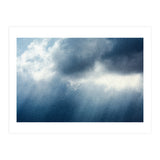Rain (Print Only) thumbnail