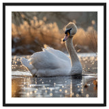 Majestic Swan On Calm Water During Sunset Nature Scene thumbnail