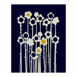expectant iteration winter sun flowers (Print Only) thumbnail