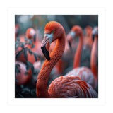 Beautiful Close Up Of A Pink Flamingo Bird (Print Only) thumbnail
