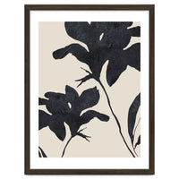 Shadowed Blooms
