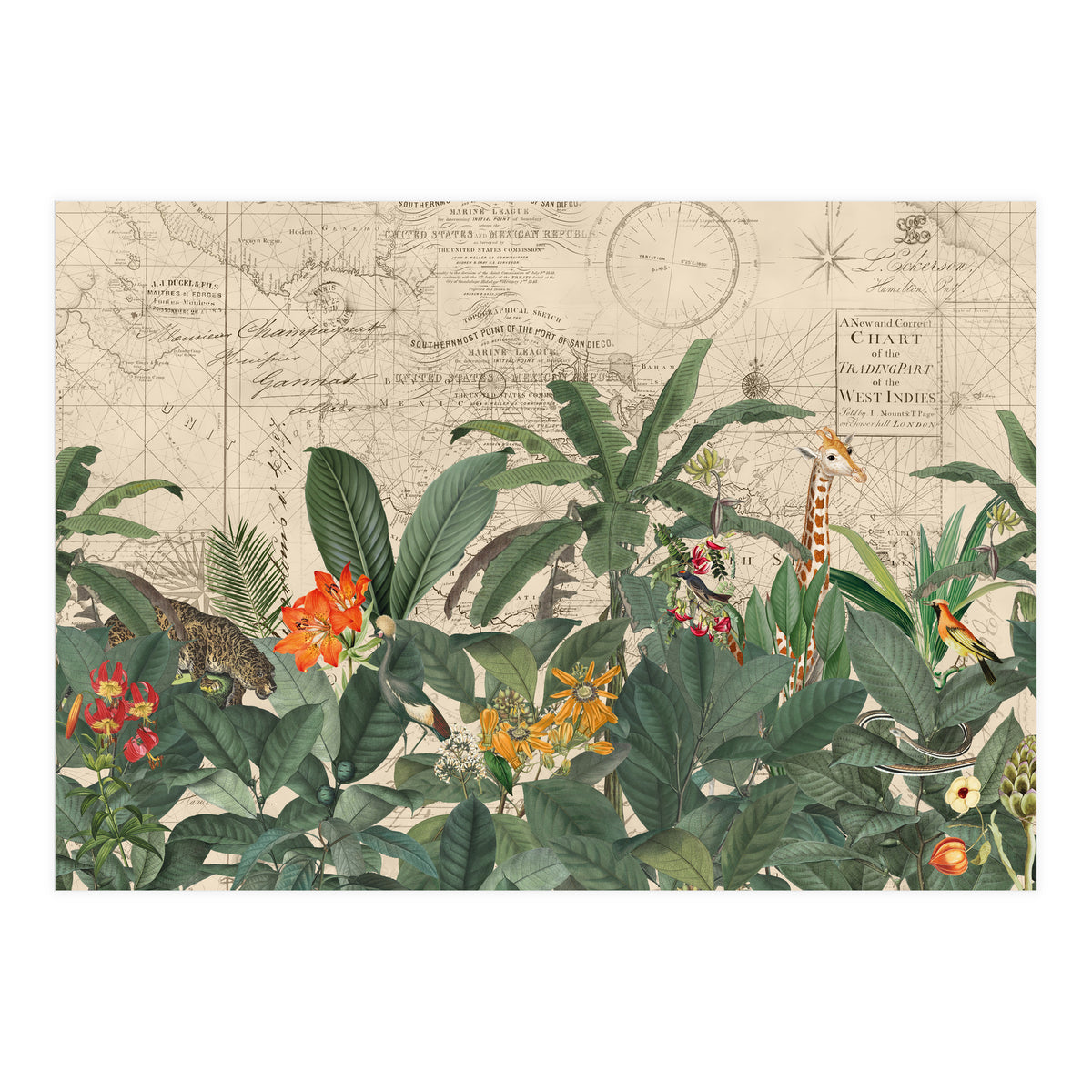 Explore The New World Wild Animals (Print Only)