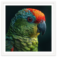 Close Up Colorful Parrot Bird Feather