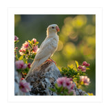 Albino Parrot Perched On A Rock Amongst Flowers (Print Only) thumbnail