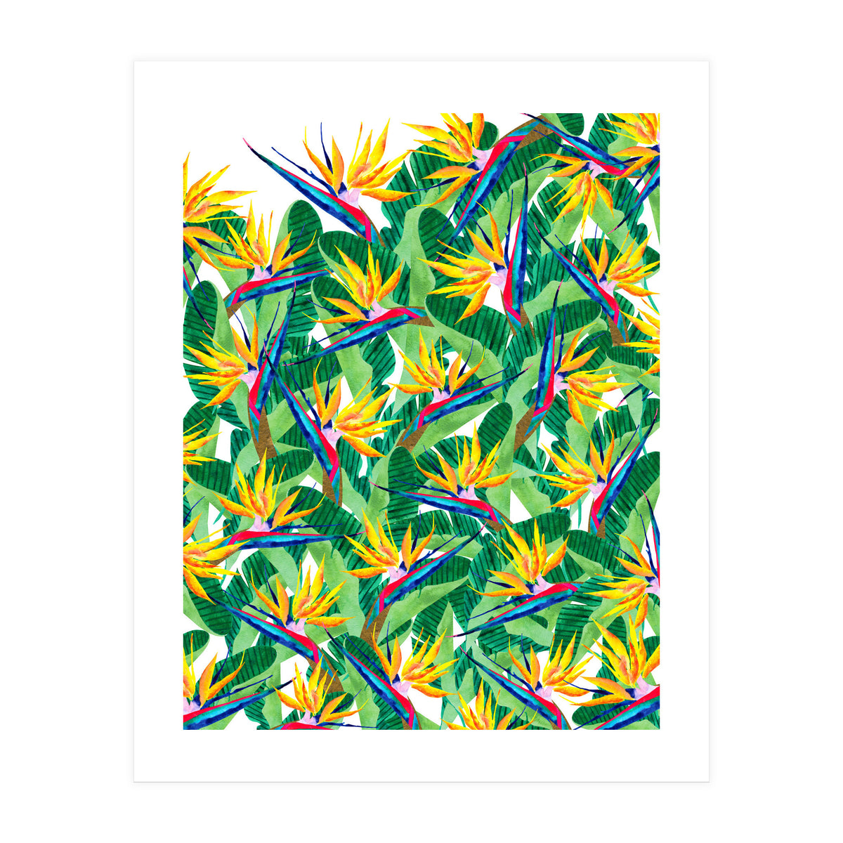 Summer Strelitzia (Print Only)