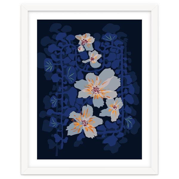 Orchid shadow blue notes