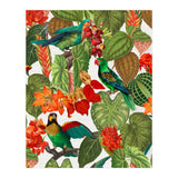 Tropical Parrots In Flower Jungle  (Print Only) thumbnail