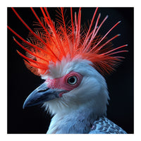 Secretary Bird (Print Only)