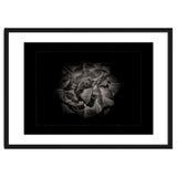 Backyard Flowers In Black And White No 81 with Border thumbnail