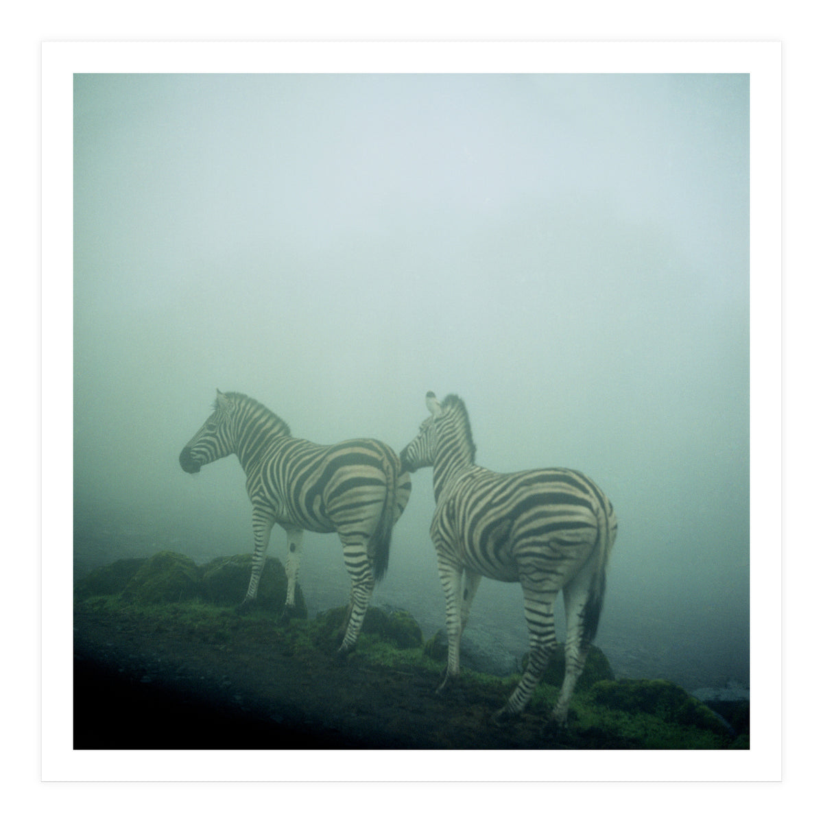 Silence of breath - 14 (Print Only)