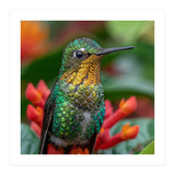 Close Up Of A Hummingbird On Red Flowers (Print Only) thumbnail