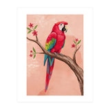 Red Macaw Parrot Bird Forest (Print Only) thumbnail
