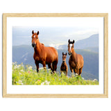 Three Horses thumbnail