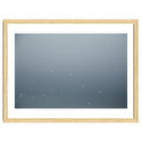 Flying Segulls in thet winter sky thumbnail