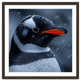 Close Up Penguin Portrait In Snowy Weather thumbnail