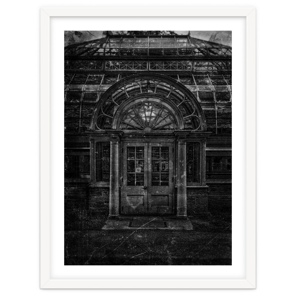 Allan Gardens Conservatory Palm House No 5 Old Film Version