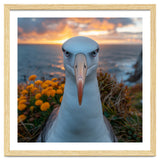 Albatross Bird With Intense Gaze By The Sea thumbnail