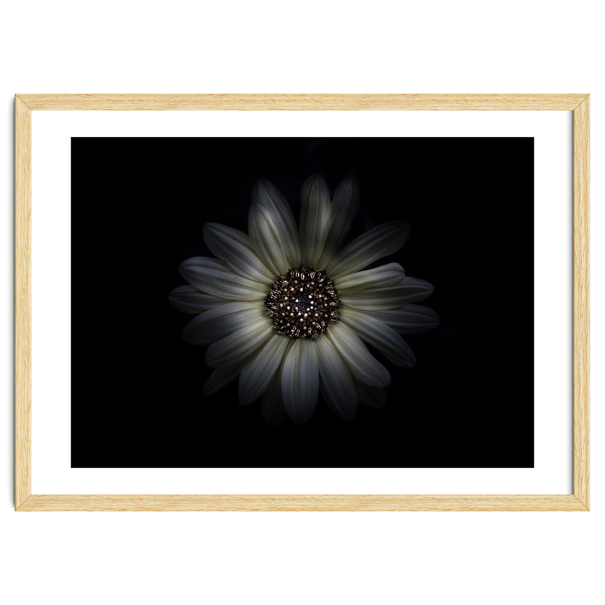 Backyard Flowers No 27 Color Version