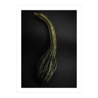 Gourds No 9 Color Version (Print Only)