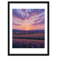 Serene Lavender Fields at Golden Hour Sunset