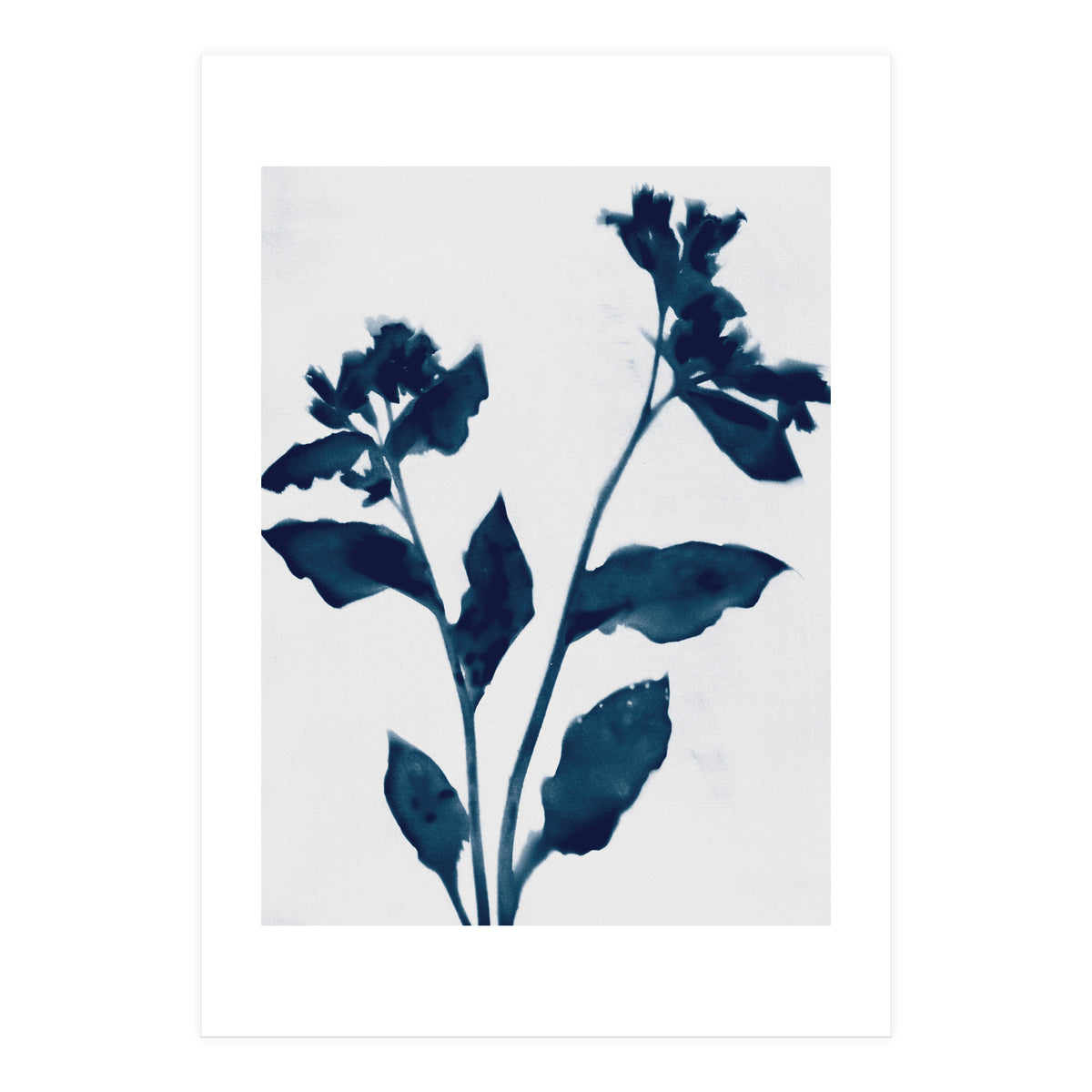 Indigo Blue Flower Silhouette 2 (Print Only)