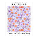 Carnation & Snowdrop January Birth Flower (Print Only) thumbnail