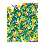 Summer Strelitzia (Print Only) thumbnail