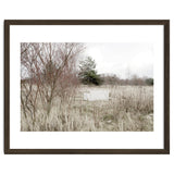 Abandoned Sofa in the middle of nowhere thumbnail