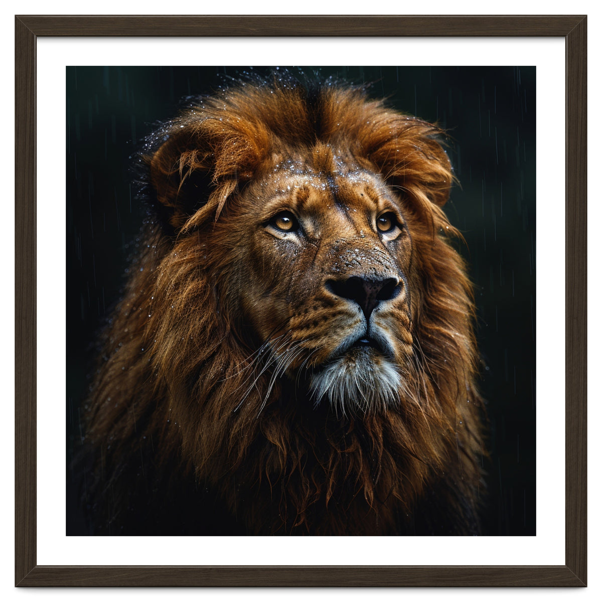 Majestic Lion Portrait In Gentle Rain