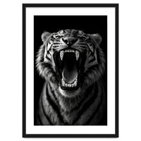 Roaring Tiger portrait