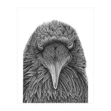 Muninn (Print Only) thumbnail