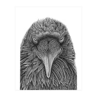 Muninn (Print Only)