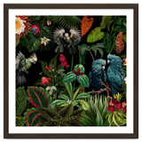 Moody Botanical Midnight Jungle Birds thumbnail