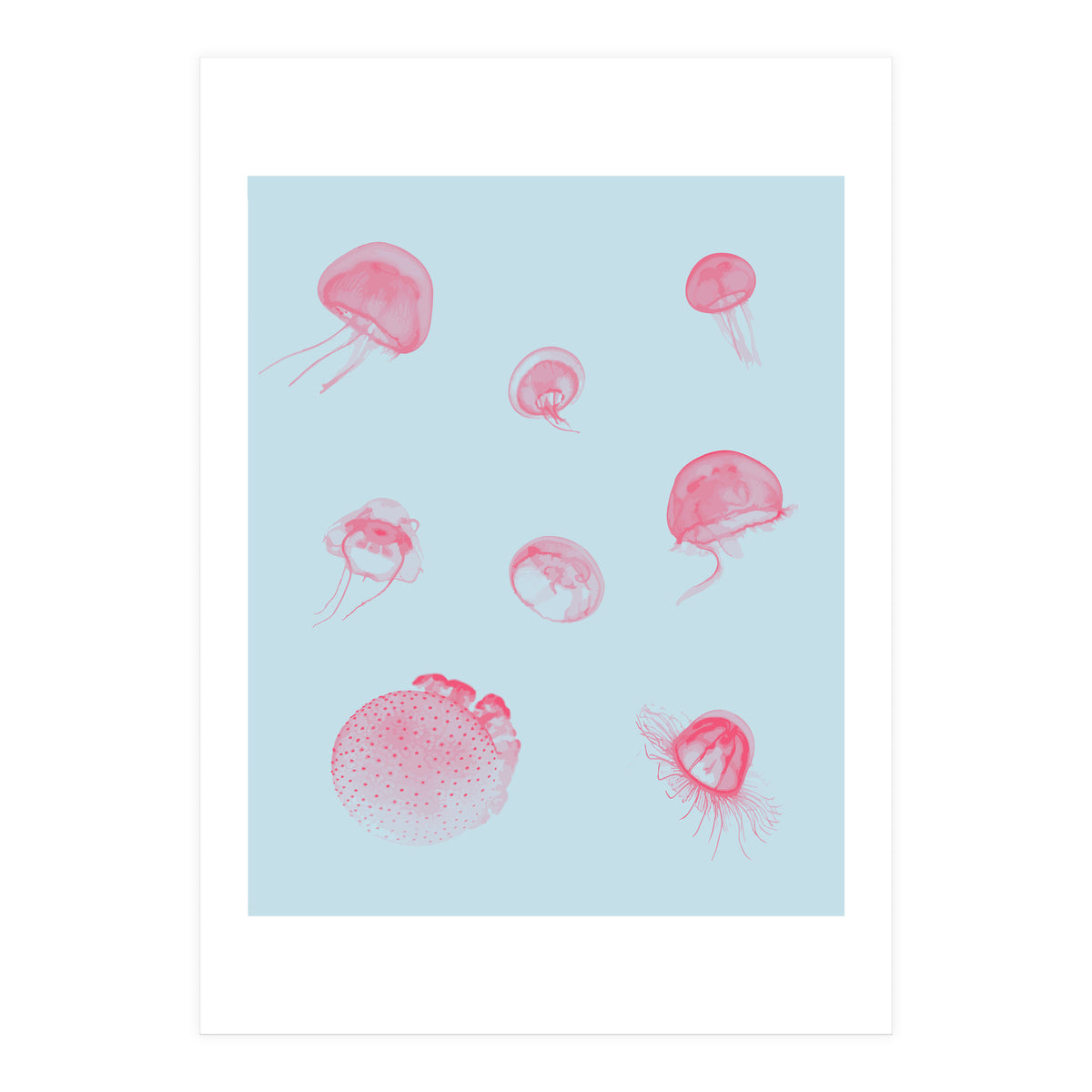 Jellyfish (Print Only)
