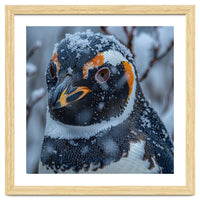 Penguin In Snow Falling Close Up Portrait