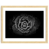 Backyard Flowers In Black And White No 101 thumbnail