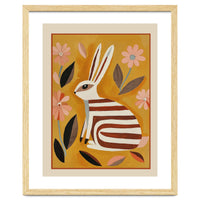 Striped Hare
